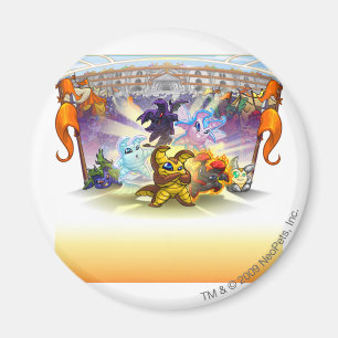 2010 Altador Cup Magnet