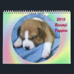 2010 Basenji Puppy Calendar<br><div class="desc">2010 Basenji Puppy Calendar</div>