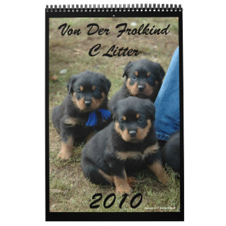 2010 C Litter Calendar