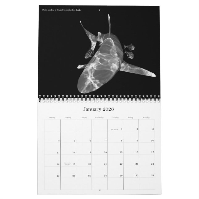2010 Calendar Best Of DiversOne Underwater Photos (Jan 2026)