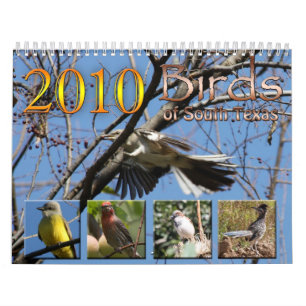 2010 Calendar Birds of South Texas