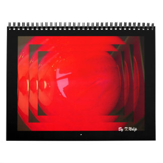 2010 Calendar Having a Ball