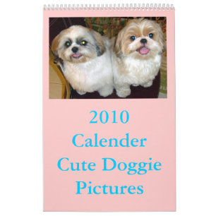 2010 Calender Calendar