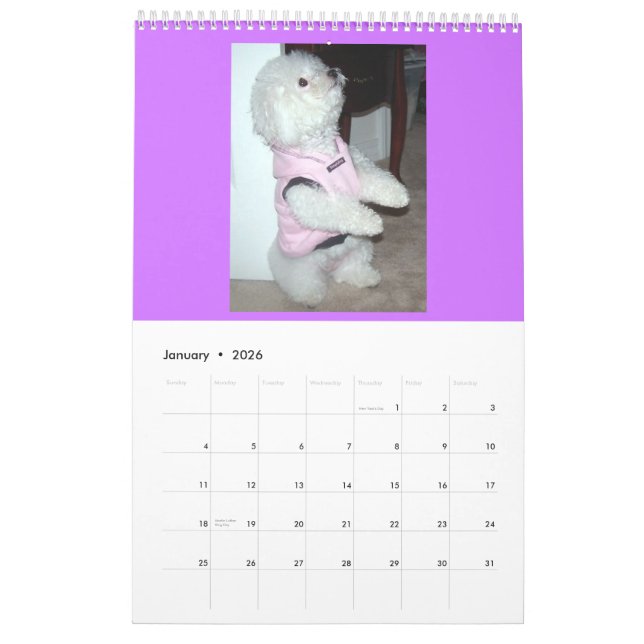 2010 Calender Calendar (Jan 2026)