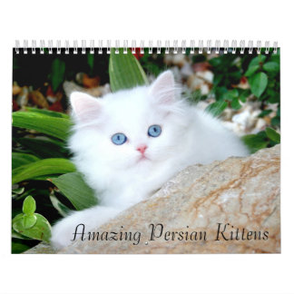 2010 Cosy Kittens Calendar - Customised
