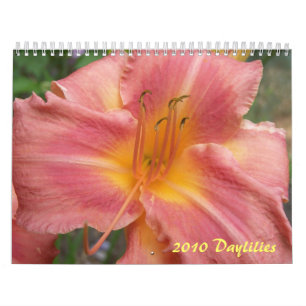 2010 Daylilies Calendar