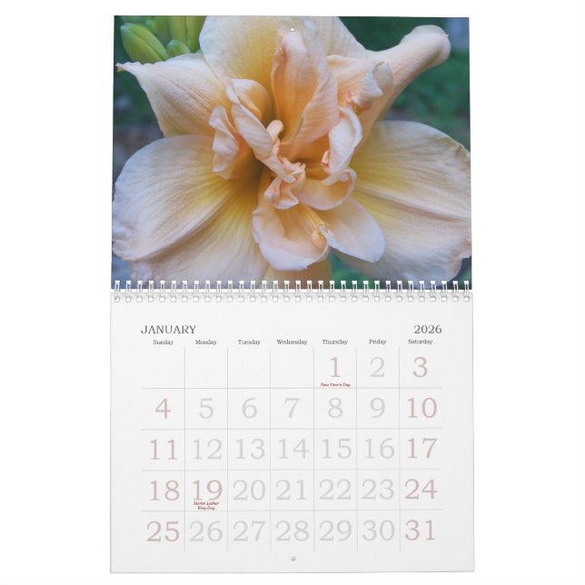2010 Daylilies Calendar (Jan 2026)
