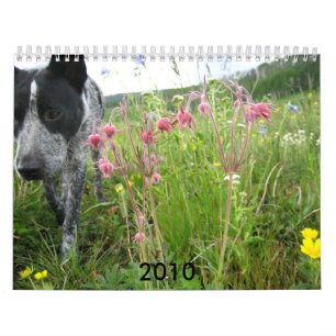 2010 Nature Calendar