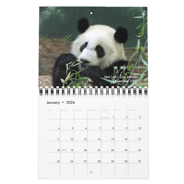 2010 Panda Calendar (Jan 2026)