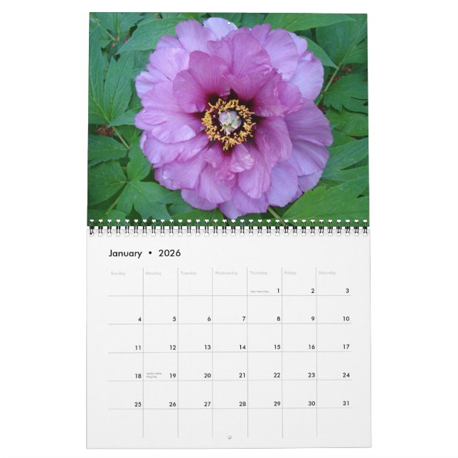 2010 Peony Calendar (Jan 2026)
