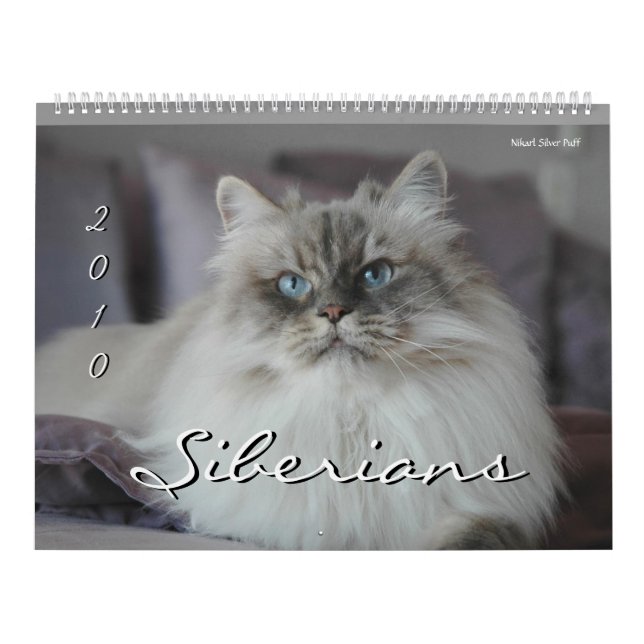 2010 Siberians Cats & Kittens Calendar 2 (Cover)