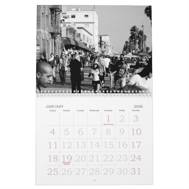 2010 Venice Beach Calendar (Jan 2026)