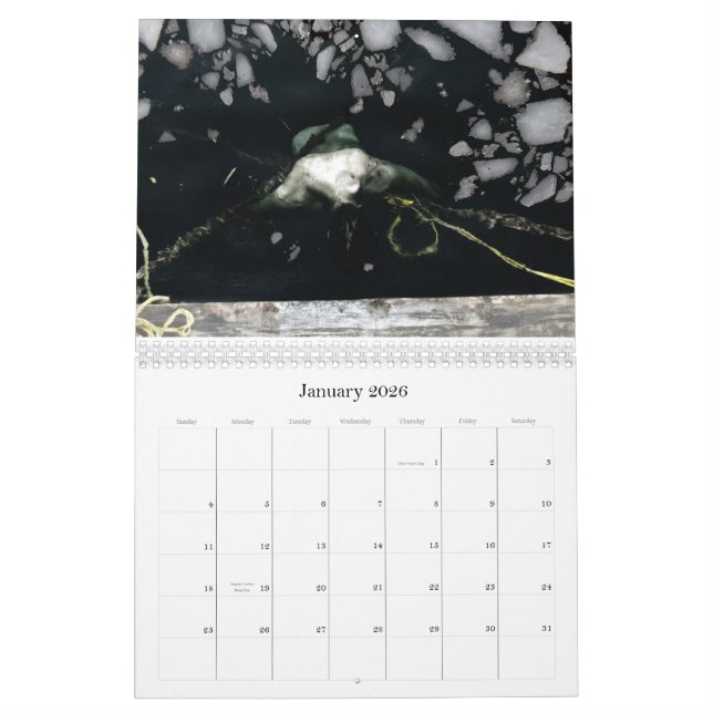 2011, 12 Months of disturbing images by Y... Calendar (Jan 2026)