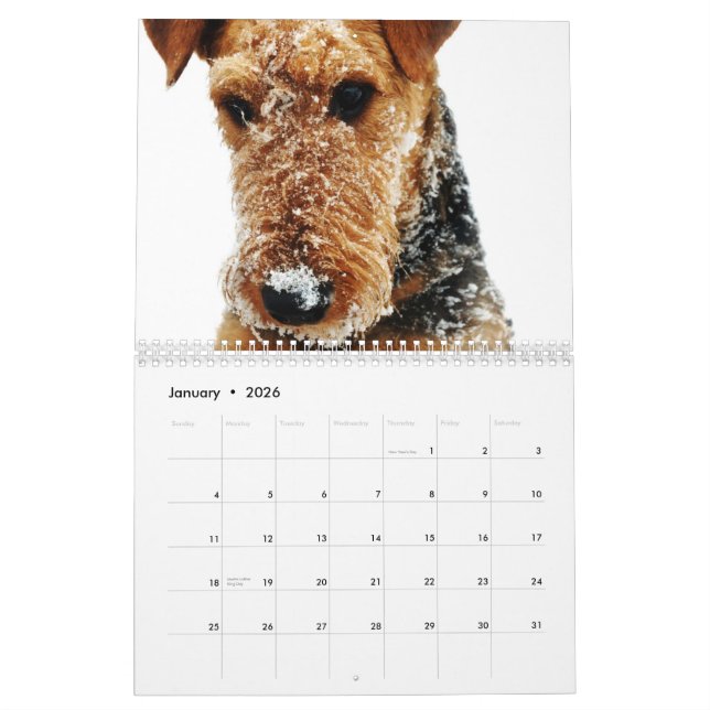 2011 Airedale Terrier Calendar (Jan 2026)