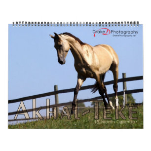 2011 Akhal-Teke Horses Calendar