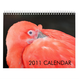 2011 Animal Calendar created by Aremac Gallery