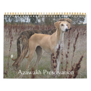 2011 Azawakh Calendar
