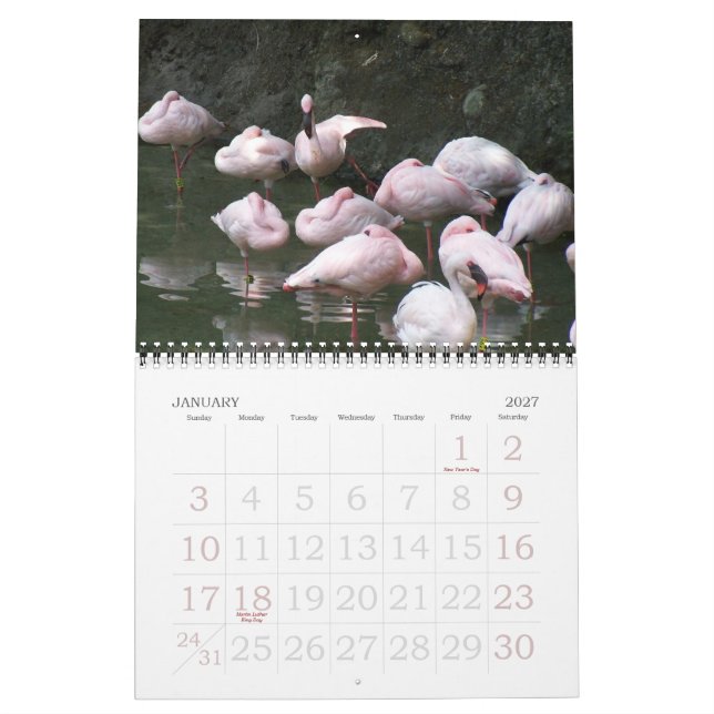 2011 Birds Calendar (Jan 2027)