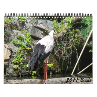 2011 Birds Calendar