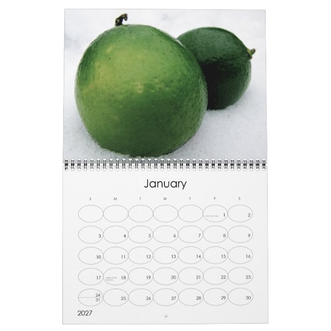 2011 Calendar (Jan 2027)