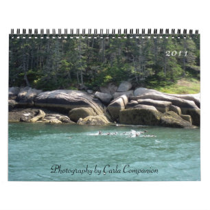 2011 Calendar