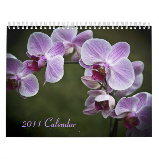 2011 Calendar - Flowers