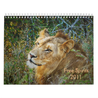 2011 Calendars - Free Spirits