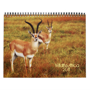 2011 Calendars - Wildlife Africa