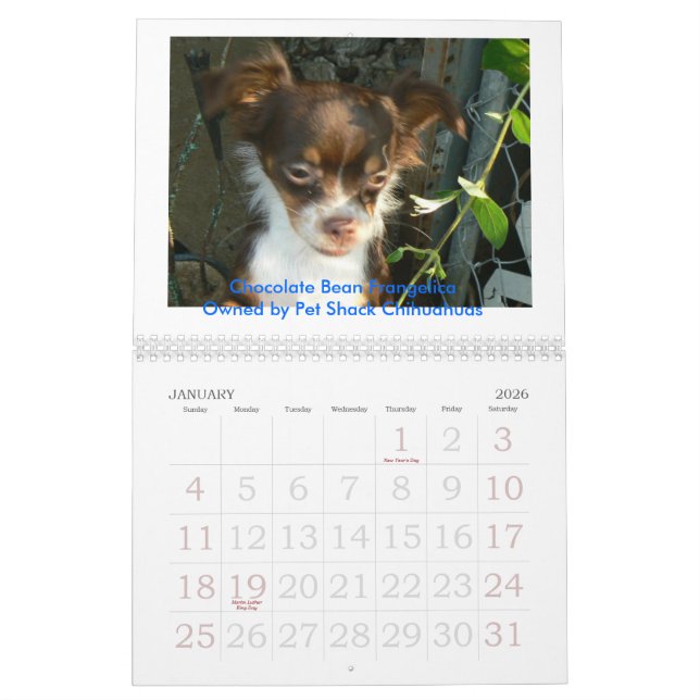 2011 Chihuahua Calander Calendar (Jan 2026)