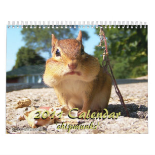2011 Chipmunk Calendar