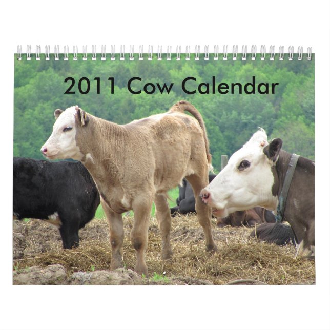 2011 Cow Calendar (Cover)