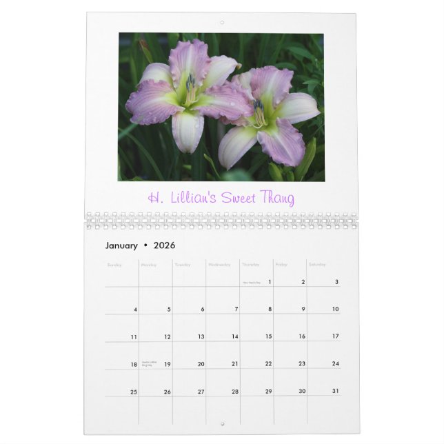 2011 Daylily Calendar            ... (Jan 2026)