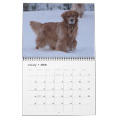 2011 - Doggie Paws Pinup Calender Calendar (Jan 2025)