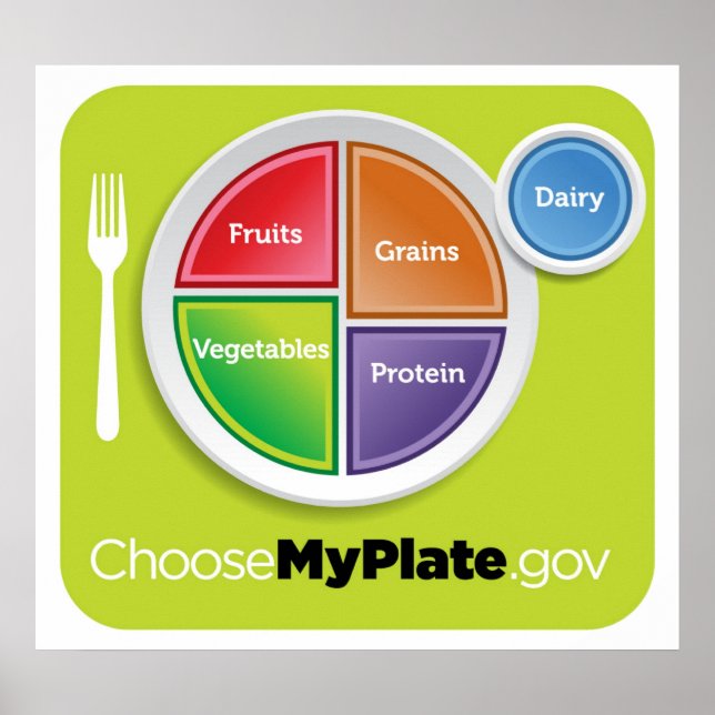 2011 Food Pyramid Choose My Plate poster (Front)