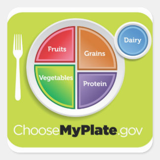 2011 Food Pyramid Choose My Plate sticker