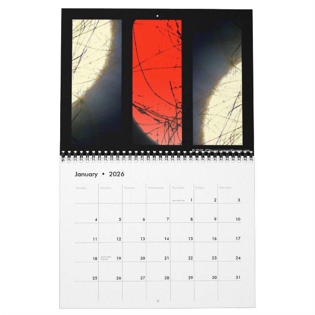 2011 Impressionist Macro Calendar (Jan 2026)