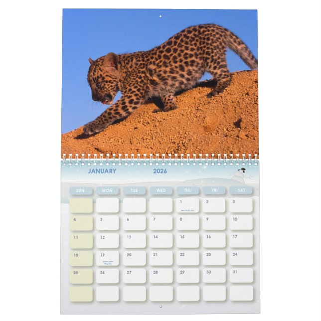 2011 Leopards Calendar (Jan 2026)