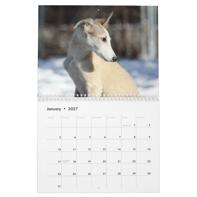 2011 Silken Windhound puppies Calendar (Jan 2027)