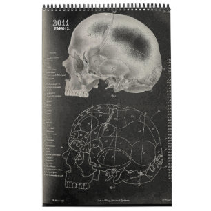 2011 SKULL/SKELETON/ANATOMY -Tang13. Calendar