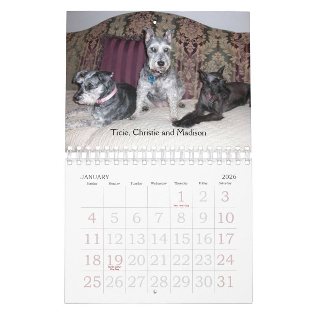 2011 SRM Calendar (Jan 2026)