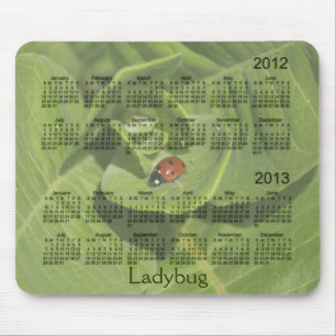 2012-2013 Ladybug Calendar Mousepad