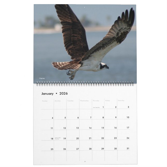 2012 Bird Calendar (Jan 2026)