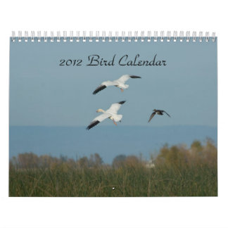 2012 BIRD CALENDAR
