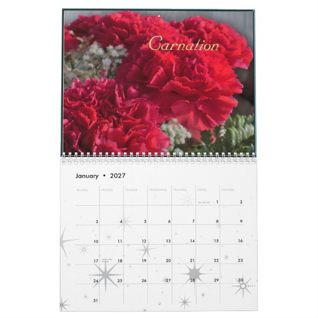 2012 BIRTH MONTH CALENDAR (Jan 2027)