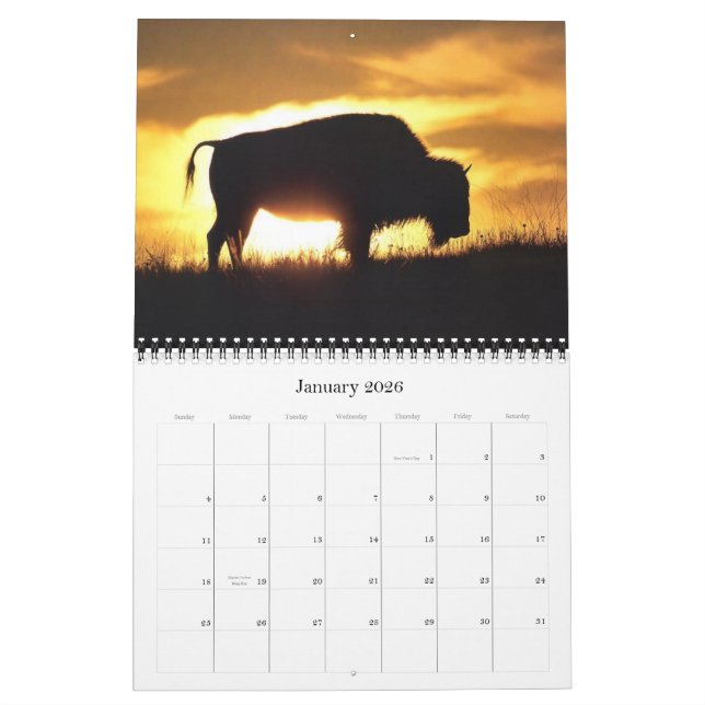 2012 Buffalo Calendar (Jan 2026)