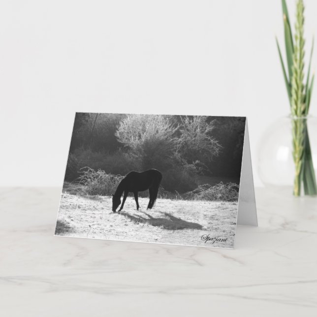 2012 Christmas Cards (Front)