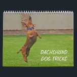 2012 Dachshund Dog Tricks Calendar<br><div class="desc">2012 Calendar of real and not so real dachshund dog tricks!</div>