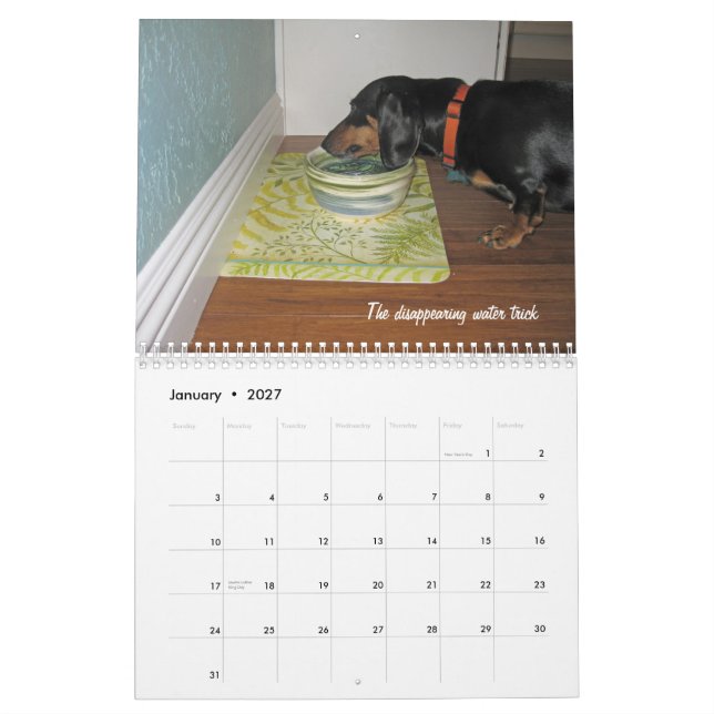 2012 Dachshund Dog Tricks Calendar (Jan 2027)