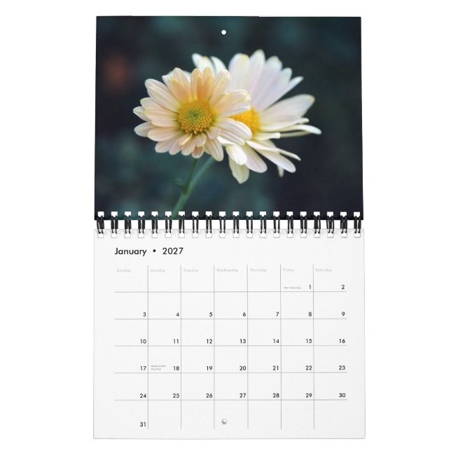 2012 Daisies Wall Calendar (Jan 2027)