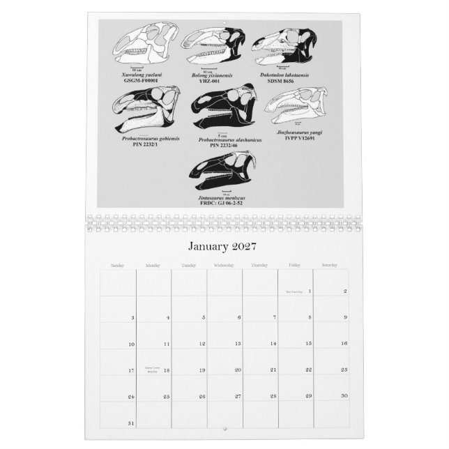2012 HADROSAUR (HADROSAURIFORMES) SKULL CALENDAR (Jan 2027)
